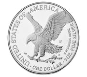 2025 American Silver Eagle 1 oz Silver Coin