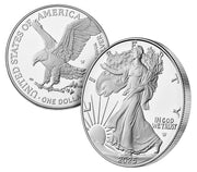 2025 American Silver Eagle 1 oz Silver Coin